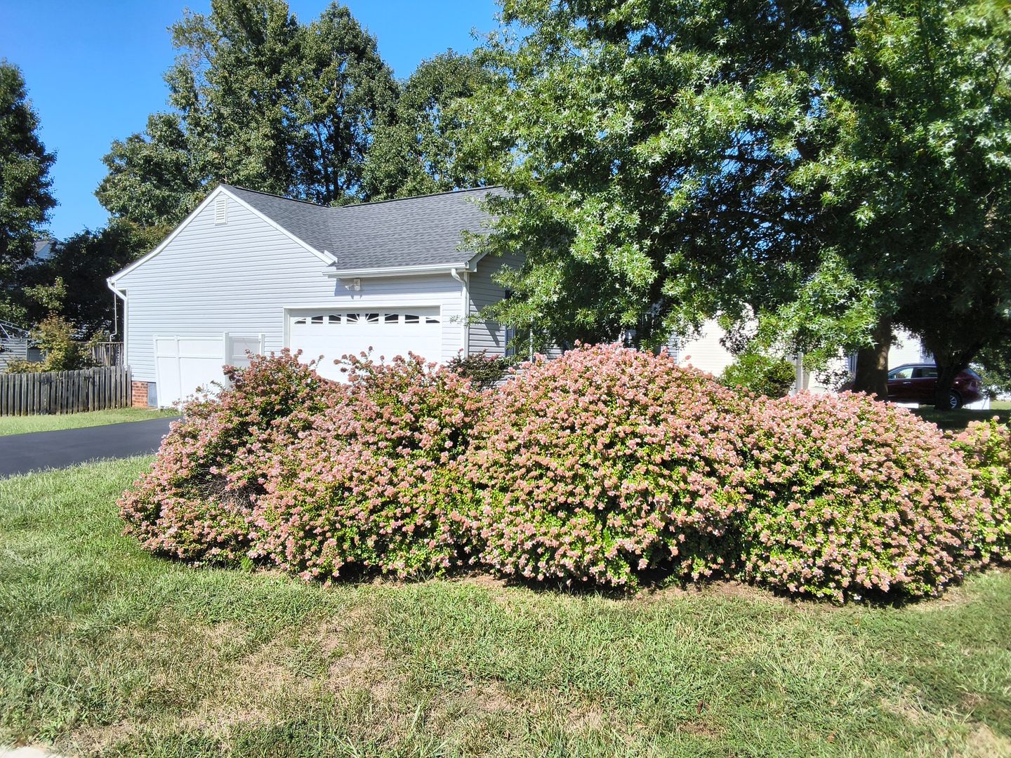 7855 Winding Ash Court, Chesterfield, VA 23832