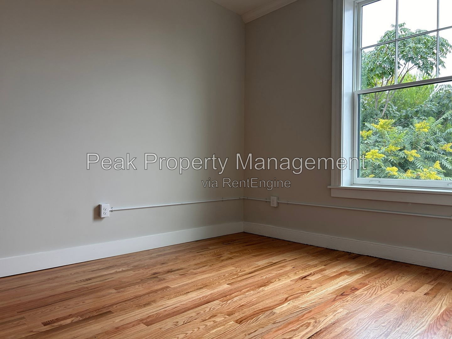 2 East Broad Street #206, Richmond, VA 23220